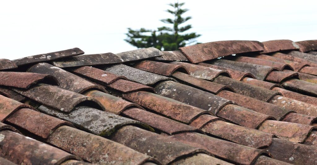 A close-up view of rustic, weathered clay roof shingles under a clear sky in Puebla, Mexico.